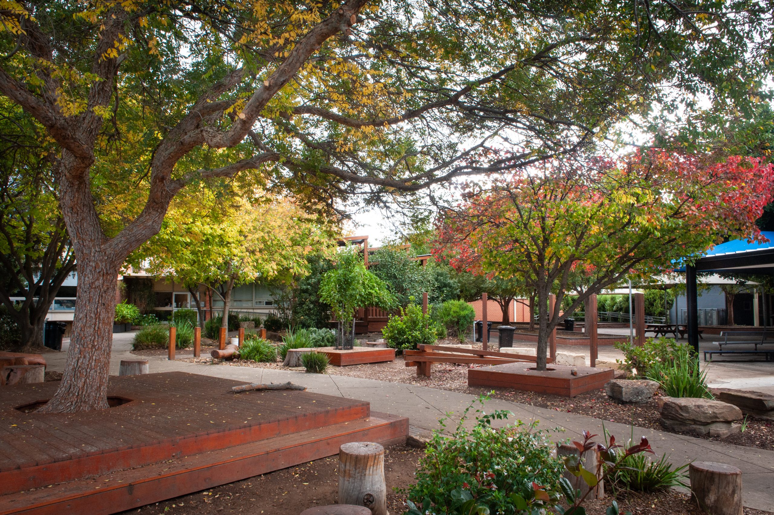 Landscaped Grounds at Kidman Park Primary School