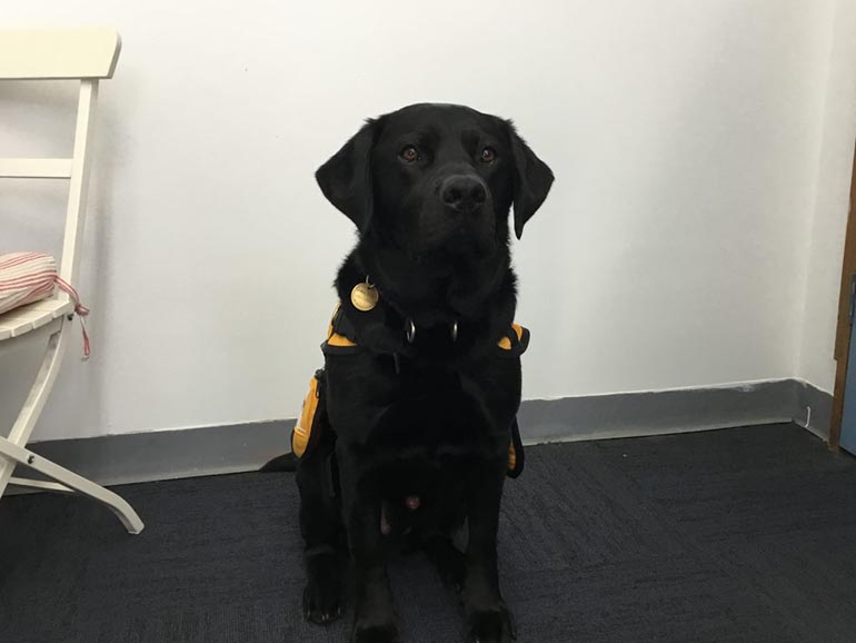 Apollo at school