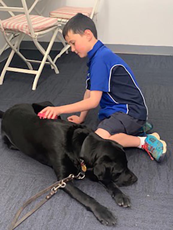 Apollo at school