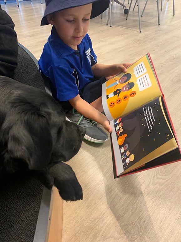 Apollo at school
