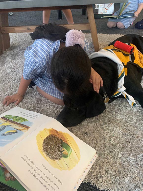 Apollo at school