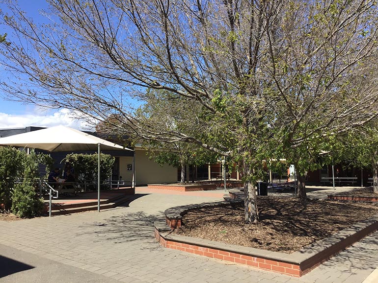 Landscaped Grounds at Kidman Park Primary School