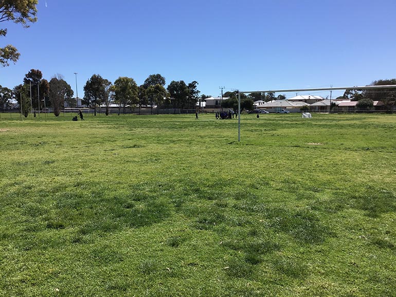 Sports and Playing Oval at Kidman Park Primary School